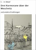 Drei Kormorane über der Weschnitz (eBook, ePUB)