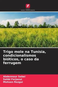 Trigo mole na Tunísia, condicionalismos bióticos, o caso da ferrugem - Sebei, Abdennour;Ferjaoui, Sahbi;Rezgui, Mohsen