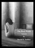 The Real World Stories III (eBook, ePUB)