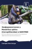 Zoofarmakognoziq u Mandrillus sphinx (Cercopithecidae) w BAKUMBE