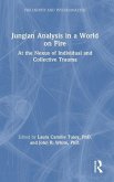 Jungian Analysis in a World on Fire