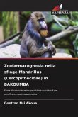 Zoofarmacognosia nella sfinge Mandrillus (Cercopithecidae) in BAKOUMBA