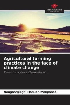 Agricultural farming practices in the face of climate change - Makponse, Nougbodjingni Damien