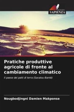 Pratiche produttive agricole di fronte al cambiamento climatico - Makponse, Nougbodjingni Damien