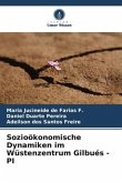 Sozioökonomische Dynamiken im Wüstenzentrum Gilbués - PI