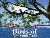 Birds of New South Wales