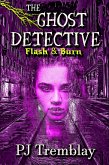 The Ghost Detective: Flash and Burn (eBook, ePUB)