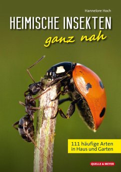 Heimische Insekten ganz nah - Hoch, Hannelore