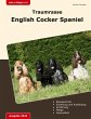 Traumrasse: English Cocker Spaniel - Bild 1
