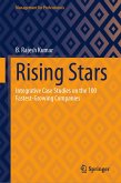 Rising Stars (eBook, PDF)
