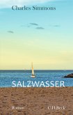 Salzwasser (eBook, ePUB)