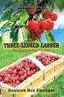 Three-Legged-Ladder (eBook, ePUB) - Bild 1