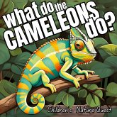 What do the Chameleons Do? What do the Chameleons Do?