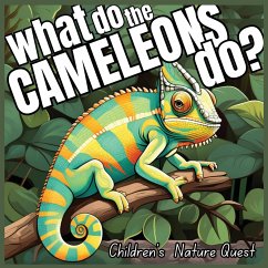 What do the Chameleons Do? - M Borhan