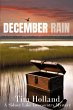 December Rain - Bild 1