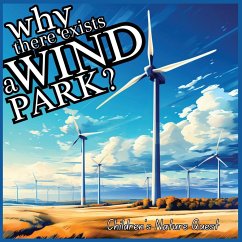 Why there exists a Wind Park? - M Borhan