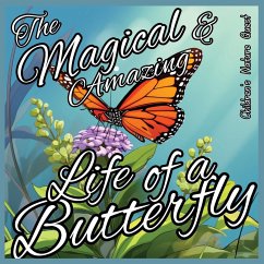 The Magical and Amazing Life of a Butterfly - M Borhan