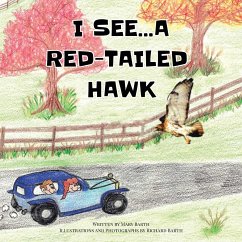 I See... A Red-Tailed Hawk - Mary Barth