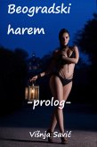 Beogradski harem - pocetak (eBook, ePUB)
