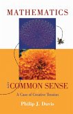 Mathematics & Common Sense (eBook, ePUB)