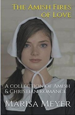 The Amish Fires of Love - Meyer, Marisa