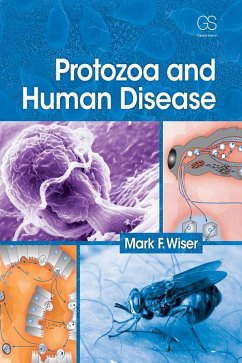 Cover Protozoa and Human Disease (eBook, ePUB)