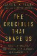 The Crucibles That Shape Us (eBook,... - Bild 1