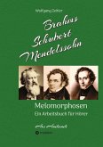 Brahms, Schubert, Mendelssohn: Melomorphosen - Früchte der Musikmeditation, sichtbar gemachte Informationsmatrix ausgewählter Musikstücke, Gestaltwerkzeuge für Musikhörer; ohne Verwendung von Noten