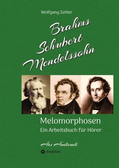 Brahms, Schubert, Mendelssohn: Melomorphosen - Früchte der Musikmeditation, sichtbar gemachte Informationsmatrix ausgewählter Musikstücke, Gestaltwerkzeuge für Musikhörer; ohne Verwendung von Noten - Zeitler, Wolfgang