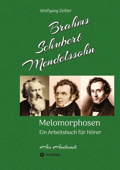 Brahms, Schubert, Mendelssohn: Melomorphosen - Früchte der Musikmeditation, sichtbar gemachte Informationsmatrix ausgewählter Musikstücke, Gestaltwerkzeuge für Musikhörer; ohne Verwendung von Noten - Zeitler, Wolfgang