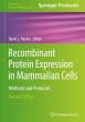 Recombinant Protein Expression in... - Bild 1