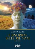 Il disordine delle mie mani (eBook, ePUB)