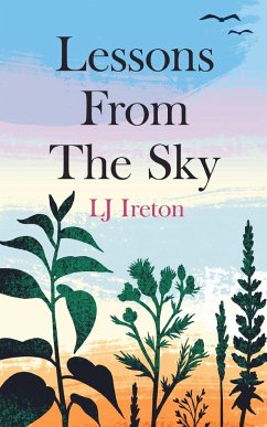 Lessons From The Sky - Ireton, Lj