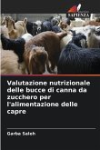 Valutazione nutrizionale delle bucce di canna da zucchero per l'alimentazione delle capre