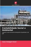 Contabilidade Social e Ambiental