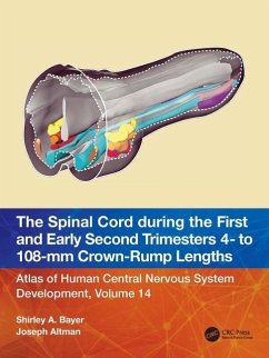 The Spinal Cord during the First and Early Second Trimesters 4- to 108-mm Crown-Rump Lengths - Bayer, Shirley A.; Altman, Joseph