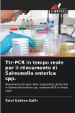 Ttr-PCR in tempo reale per il rilevamento di Salmonella enterica spp.