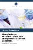 Phosphatase-Enzymaktivität von phosphatauflösenden Bakterien