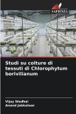 Studi su colture di tessuti di Chlorophytum borivilianum