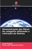 Demonstração das fibras de colagénio utilizando a coloração de Geimsa