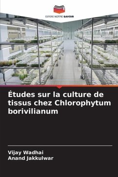 Études sur la culture de tissus chez Chlorophytum borivilianum - Wadhai, Vijay;Jakkulwar, Anand