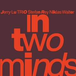 In Two Minds - Lu,Jerry