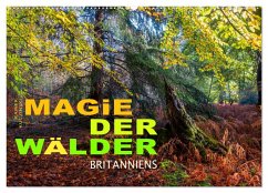 Magie der Wälder Britanniens (Wandkalender 2025 DIN A2 quer), CALVENDO Monatskalender