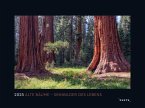Alte Bäume, Sinnbilder des Lebens - KUNTH Wandkalender 2025