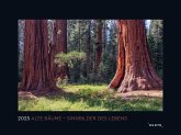 Alte Bäume, Sinnbilder des Lebens - KUNTH Wandkalender 2025