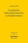 Europäischer Individualrechtsschutz in Parallelverfahren