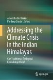 Addressing the Climate Crisis in the Indian Himalayas (eBook, PDF)