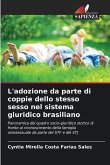 L'adozione da parte di coppie dello stesso sesso nel sistema giuridico brasiliano