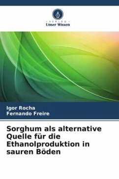 Sorghum als alternative Quelle für die Ethanolproduktion in sauren Böden - Rocha, Igor;Freire, Fernando