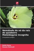 Nemátodo do nó da raiz do quiabeiro Meloidogyne incognita